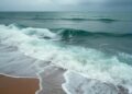 When Ocean Waves Reach the Shoreline