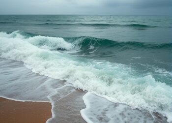 When Ocean Waves Reach the Shoreline