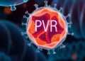 Boosting Secondary Metabolites: CRISPR/Cas9 in Reproductive Tissues