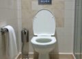 Excessive Toilet Scrolling Associated with Increased Hemorrhoid Risk, Study Finds