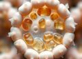 Herbal Extracts Enhance Antibiotic Effects on Resistant Pathogens