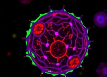 Illuminating Cell Death: Cutting-Edge Fluorescent Reporter Enables Real-Time Visualization of Apoptosis