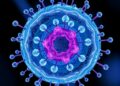 Interfacial Solvation Prepares Oxygen Evolution Transition State