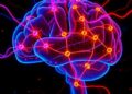 Scientists Identify Unique Brain Signaling Differentiating Parkinson’s Disease from Essential Tremor