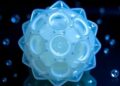 Scientists Pioneer Innovative Approaches to Create Eco-Friendly Polymer Materials