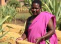 Sorghum Market Dynamics in Kuyu District, Ethiopia