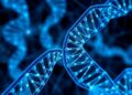 Supervised Learning Powers DNA Neural Networks