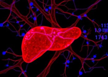MDMX Alters Liver Cancer Glycolysis via 14-3-3γ/FOXO1