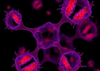 Disrupted cAMP–PKA–CREB1 Signals Fuel Muscle Mitochondria Damage in Cancer