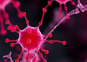 Porin A and α/β-Hydrolase Drive Bartonella Hemolysis