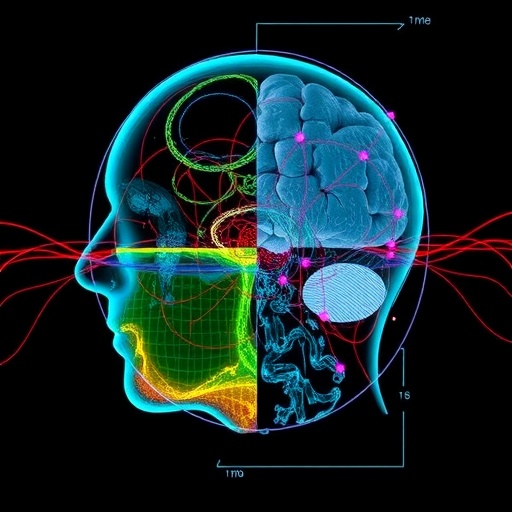 Bridging Machine and Human Visual Understanding - BIOENGINEER.ORG