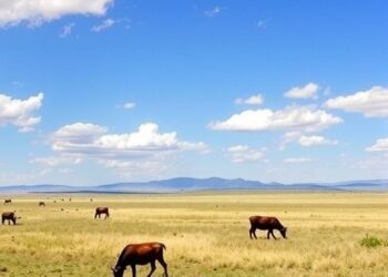 Climate Benefits of U.S. Rangeland Management Evaluated