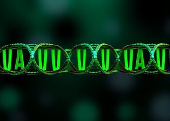 Distinct Mutation Effects on UUG Start Codon Recognition