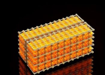 Enhanced Supercapacitor Performance with Sulfur-Nickel Composites