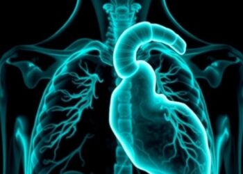 Revolutionizing Right Ventricular Dysfunction Detection with AI