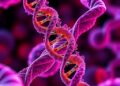 DNA Breaks Boost RORγt, Drive Th17 Autoimmunity