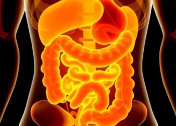 Vitamin D3 Reduces Inflammation in Colorectal Cancer Study