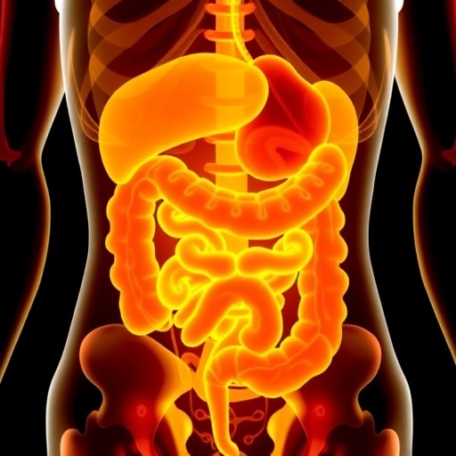 Vitamin D3 Reduces Inflammation in Colorectal Cancer Study