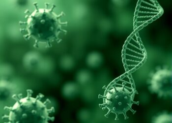 Antibiotic Use and Genetics Shape Gonorrhea Spread