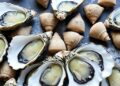 Author Correction: Are Oysters Truly Sustainable Bluefood?