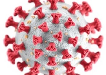 Comparing Whole Genome Sequencing Methods for Capripox Viruses