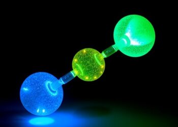 Dual Delayed Fluorescence and Phosphorescence in Organics