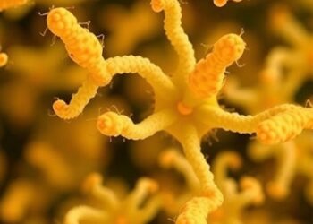 Early Bifidobacteria Reduce Allergy Sensitization Risk