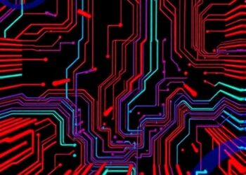 Exploring Cache Memory in Parids: Chettih et al. 2024