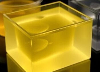 Exploring Conductivity in Chitosan-Gelatin Gel Electrolytes