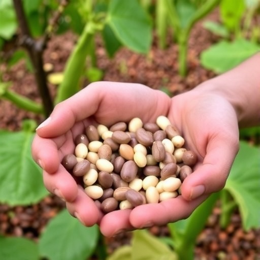 Exploring Farmers’ Preferences in Common Bean Innovations