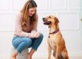 Familiarity and Size Shape Women’s Dog Communication