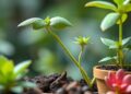 Global Data Ecosystem Drives High-Performance Plant Collections