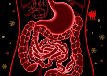 Gut Microbes Fuel Auto-Brewery Syndrome, Study Finds