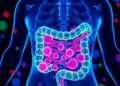 Gut Microbiome Effectors Linked to Immune Modulation