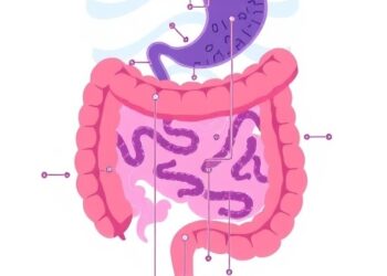 Gut Microbiota l-Theanine Boosts Amino Acid Breakdown