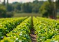 Innovative Technologies for Sustainable Crop Protection