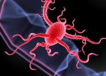 Key Kinases, Proteases Enable Babesia divergens Exit