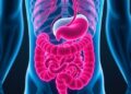 Key Mitochondrial Genes Linked to Necrotizing Enterocolitis