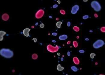 LowLoad-qPCR: Innovative Approach to Detect Bacteremia