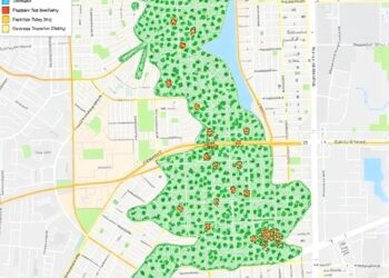 Mapping English Holly’s Urban Invasion Patterns