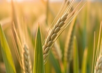 Nanopriming Enhances Wheat’s Resilience to Abiotic Stress