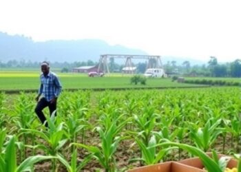 Non-Traditional Export Crops Boost Ghana’s Economic Growth