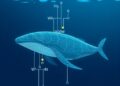 Optimized Whale Algorithm Enhances IoV Task Scheduling