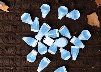 Optimizing Nanoplastic Extraction from Soil Without Damage