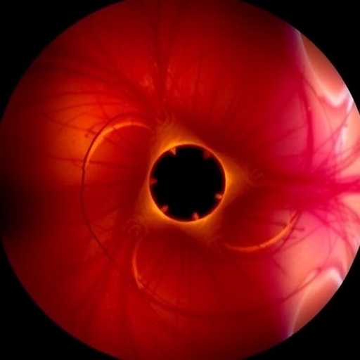 Optoacoustic Mesoscopy Fixes Single-Capillary Endothelial Dysfunction