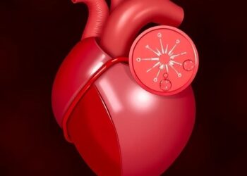 Posthemorrhagic Ventricular Dilatation Affects Preterm Brain Oxygenation