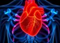Revolutionary Hybrid System Detects Heart Failure