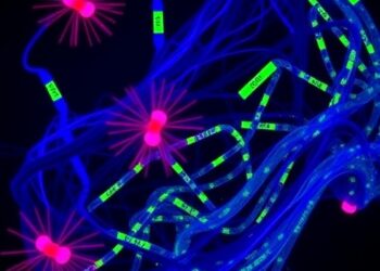 SULT2B1’s Role in Biliary Atresia Uncovered