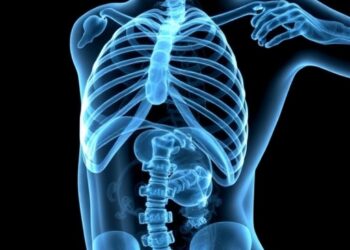 Slimming Medical Images with Shape-Texture AI