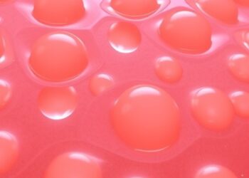 Stem Cell-Derived Vesicles Combat UVB-Induced Skin Aging